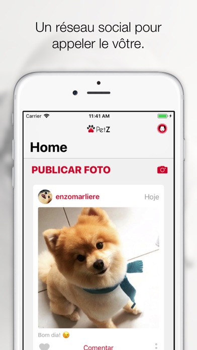 Screenshot #1 pour Pets