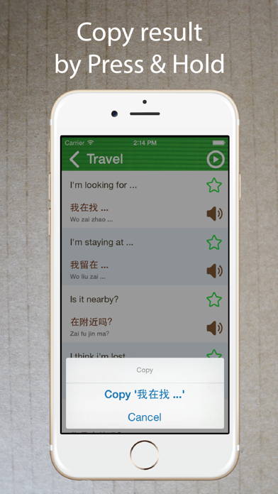Screenshot #3 pour Phrasebook Chinois - Apprendre
