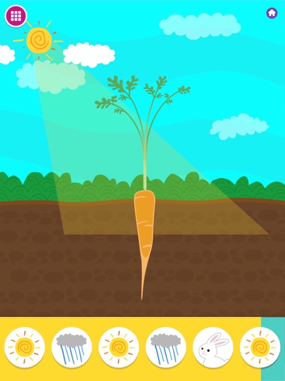 Nico & Nor Wonder Farm