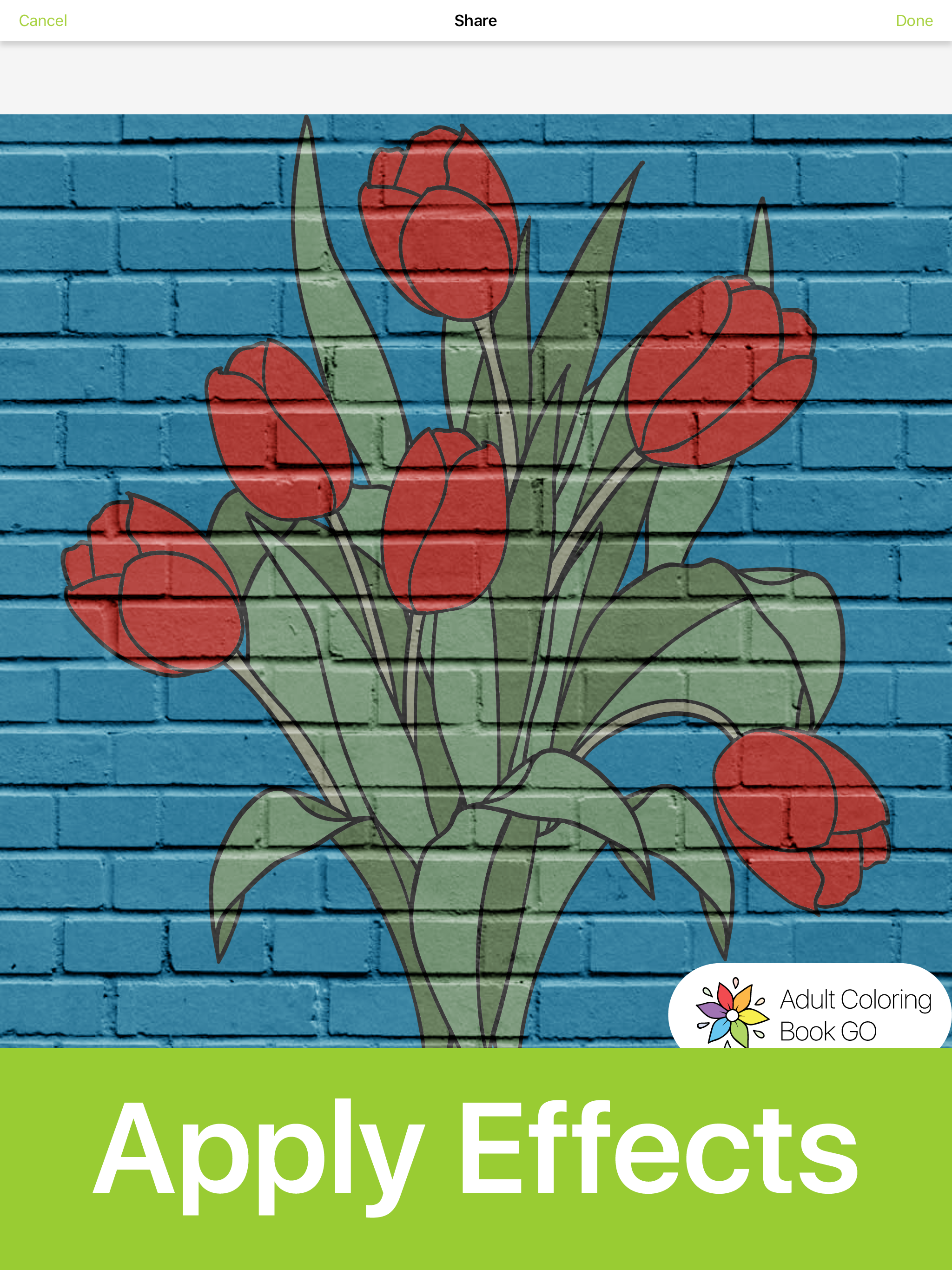 Adult Kid Number Coloring Book