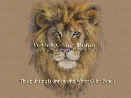 Water Color Pencil