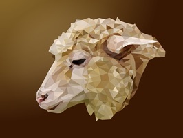 Have fun with sheeps all for a low cost