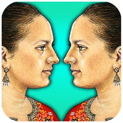 Singh Twins - Art In Motion Читы