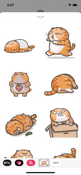 Game screenshot Chubby Cat Stickers Animated hack