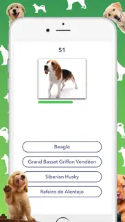 dog quiz - which dog is that? iphone screenshot 1