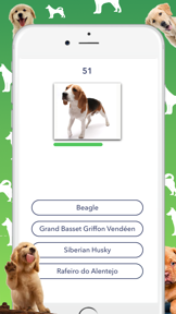 Dog Quiz - Which dog is that? screenshot