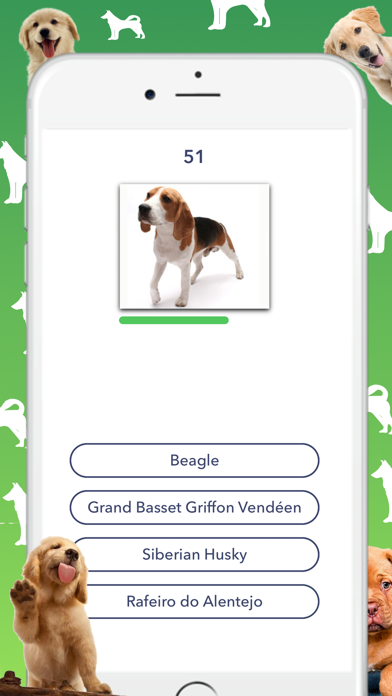 Screenshot #1 pour Dog Quiz - Which dog is that?
