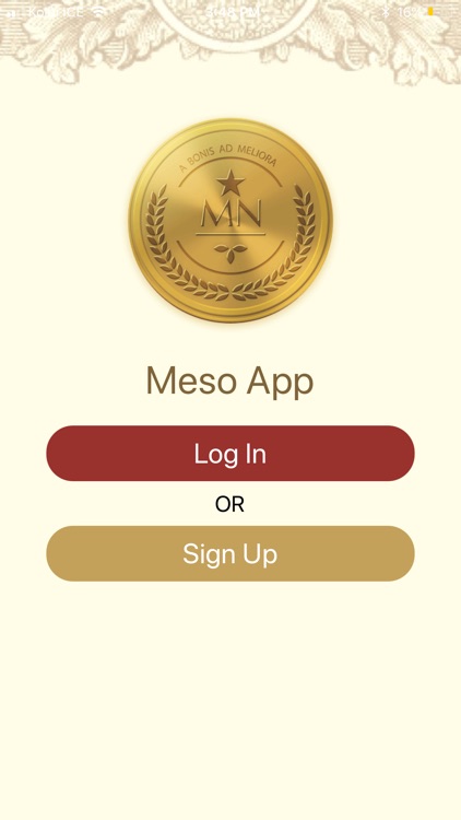 Meso Numismatics