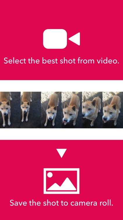 iDrip - Photo extractor