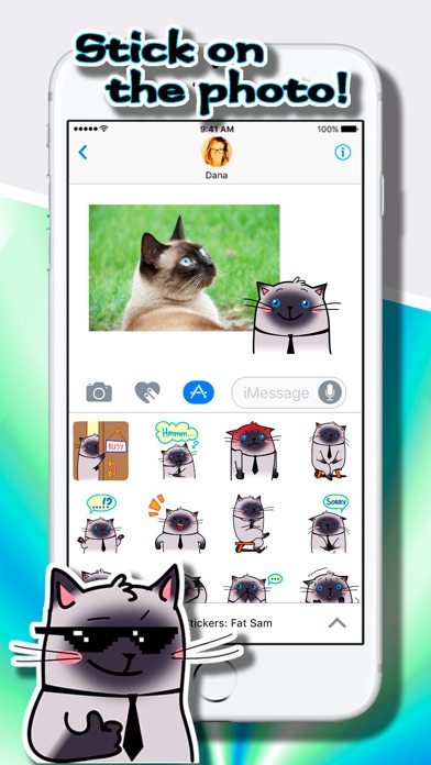 Screenshot of Cat Stickers: Fat Sam