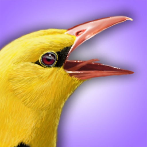 iBird UK & Ireland Lite Guide to Birds icon