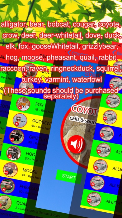 2000+ Animal Sounds Calls screenshot 2