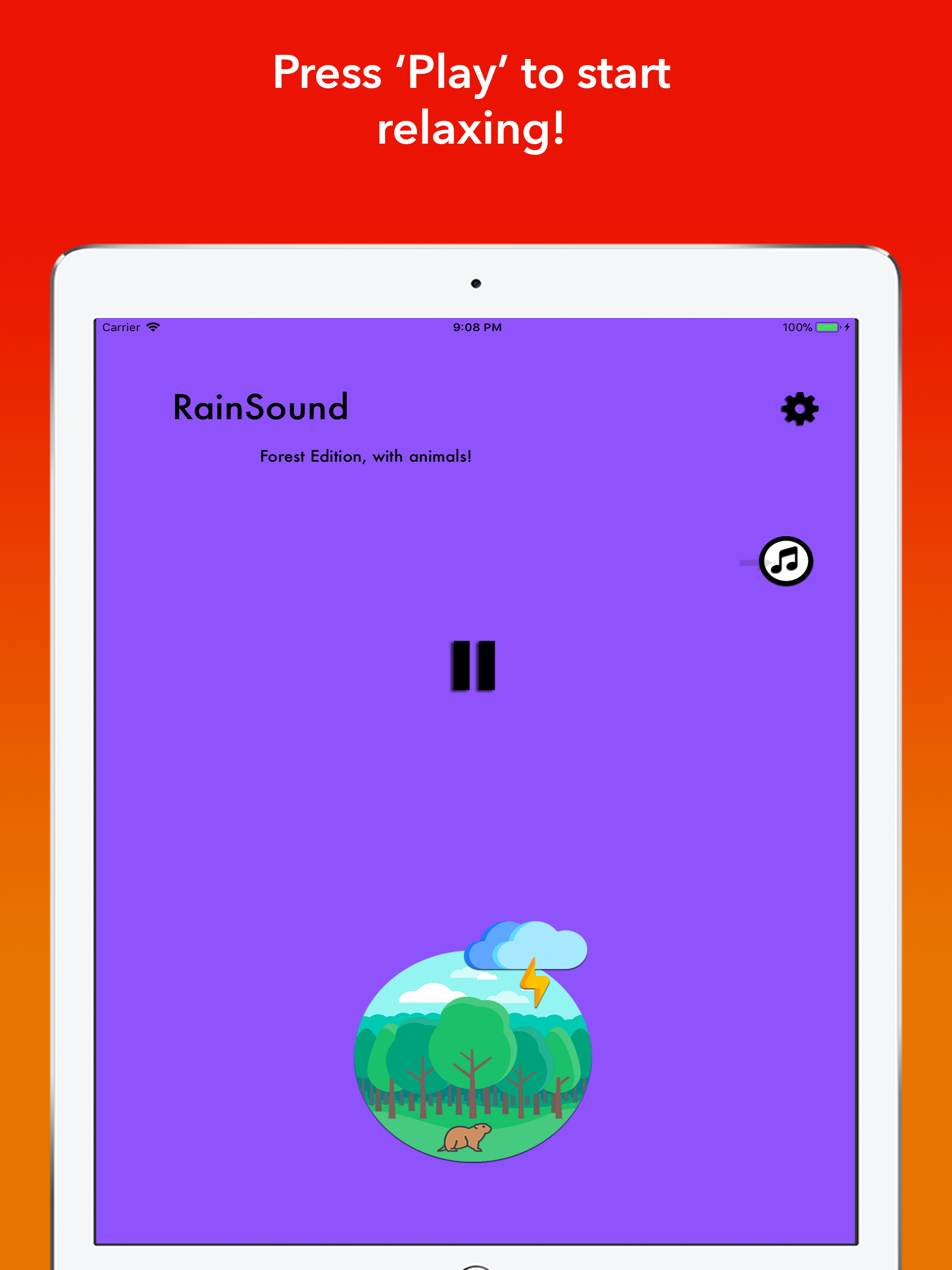 RainSound in Forest
