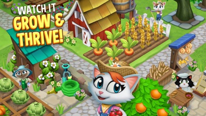 Kitty City: Harvest Valley screenshot 3
