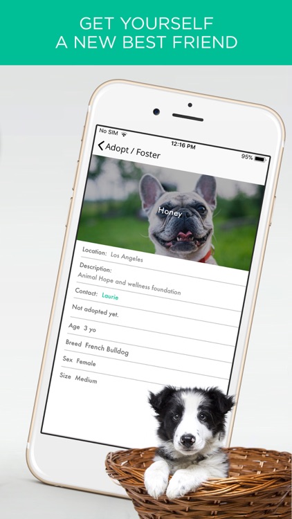 Global Dog: For Dogs & Puppies