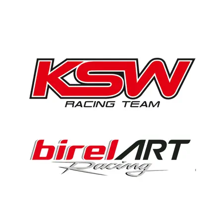 BIREL ART RACING KSW Читы