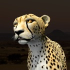 Virtual Cheetah