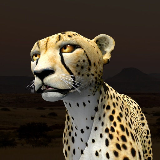 Virtual Cheetah