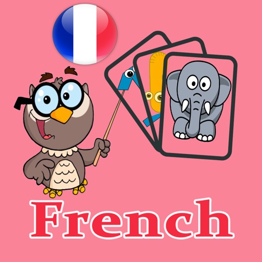 French Learning Flash Card icon