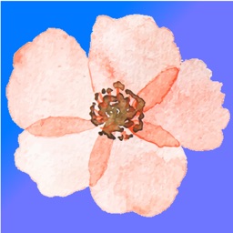 FlowerWhat