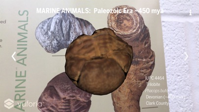 Fossil CalendAR screenshot 2