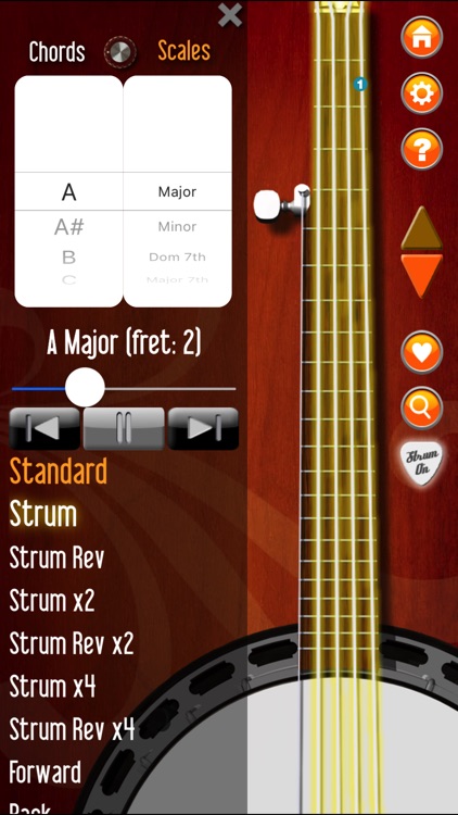 Banjo Companion screenshot-4