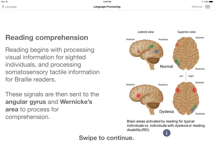 NeuroCircuits