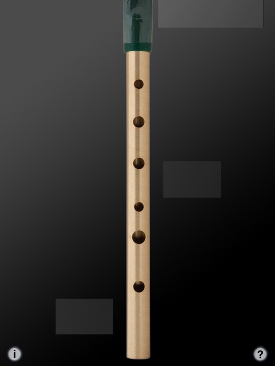 Tin Whistle Pro screenshot-3