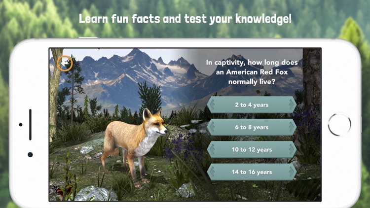 Wild & Seek screenshot-3