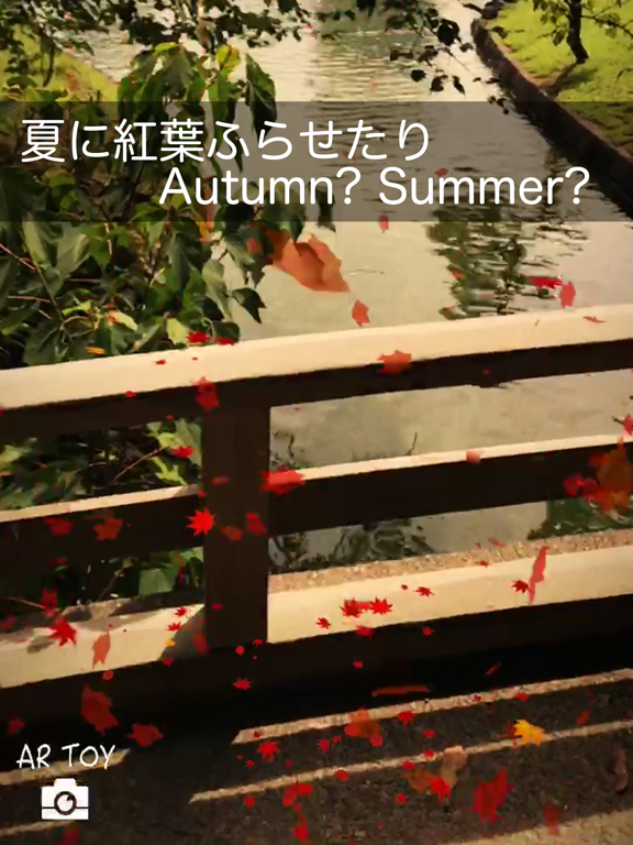 AR TOY camera iPad screenshot 4 - Photo & Video app