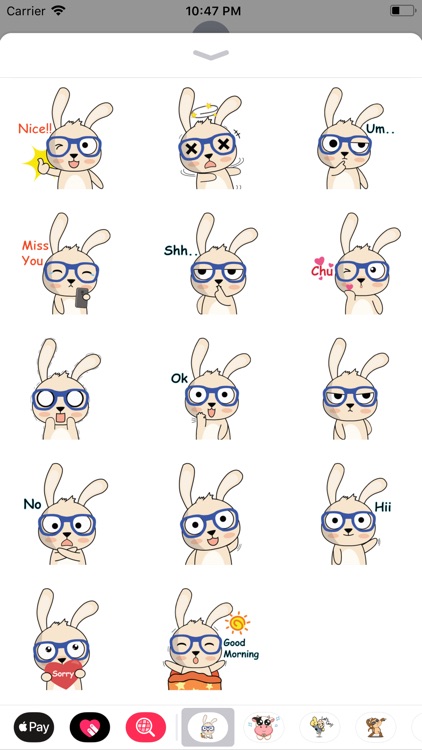 Spexy Rabbit