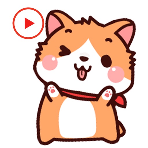 Animated Corgi Dog Stickers