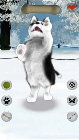 Game screenshot Talking Dog Virtual Pet Husky hack