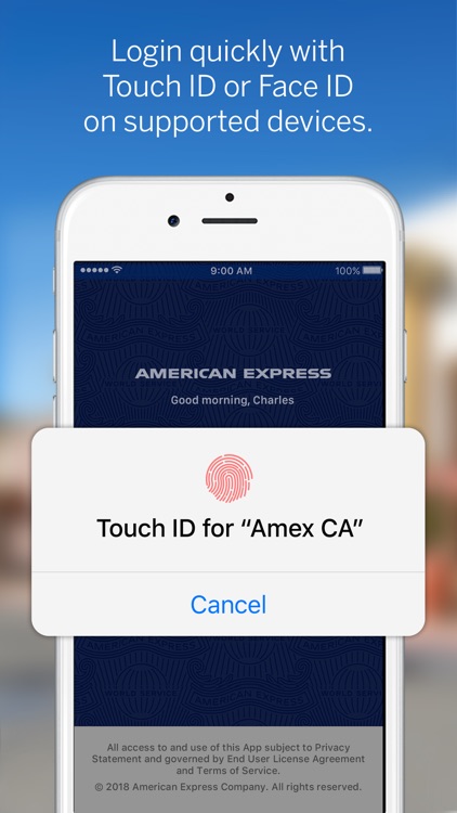 Amex CA screenshot-3