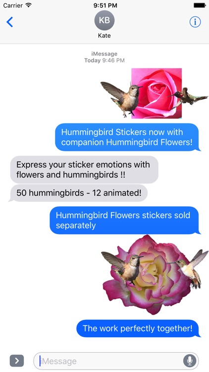 Hummingbird Sticker Pack