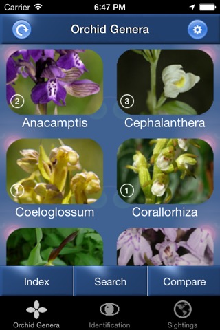 Orchid Id - British Orchidsのおすすめ画像1