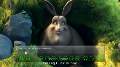 Screenshot #1 pour Subtitles Player