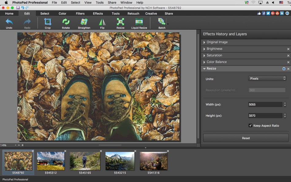 #2. PhotoPad Professional (macOS) 由: NCH Software