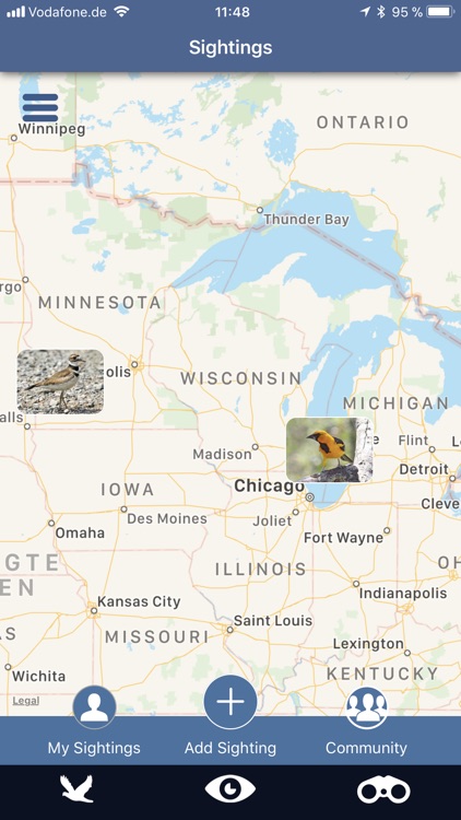 Bird Id USA backyard birds screenshot-9