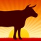 Steak Master – for the Perfect Steak