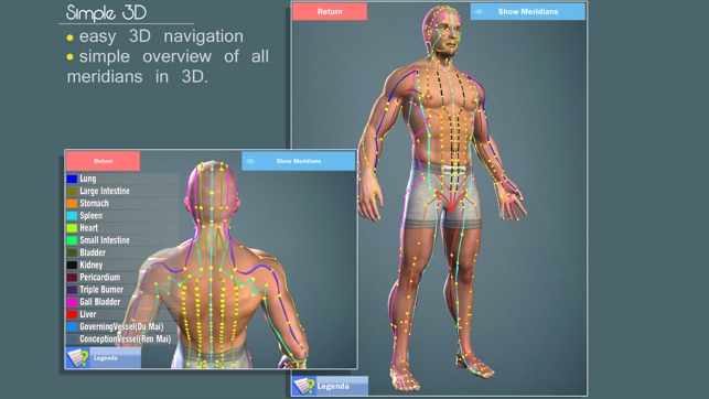 Easy Acupuncture 3D -FULL(圖4)-速報App