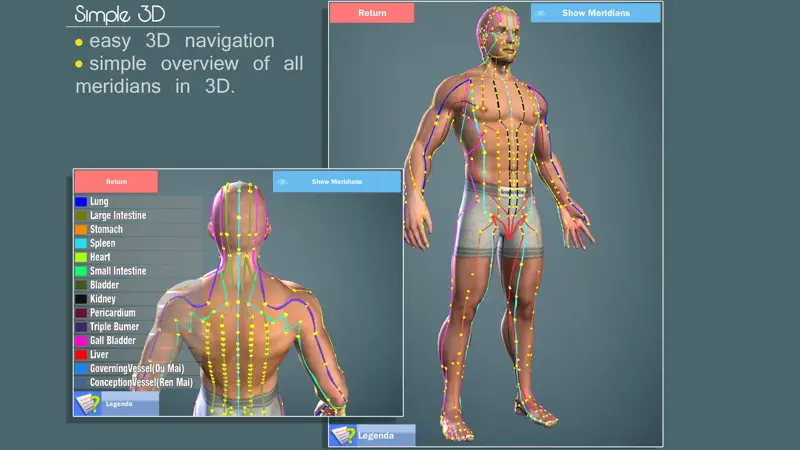 Easy Acupuncture 3D -FULL screenshot 4 of 5