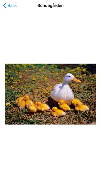 Pegebogen - Lav din egen pegebog screenshot-3