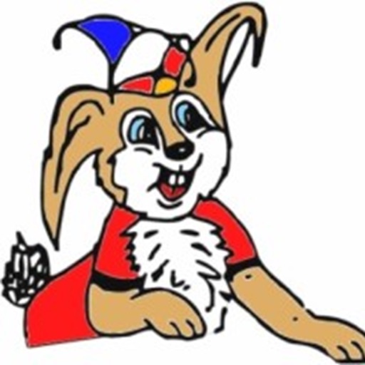 CVM "Die Sandhasen" e.V.