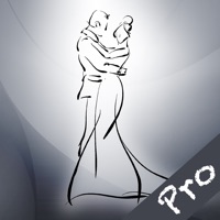 Posing Pro  logo