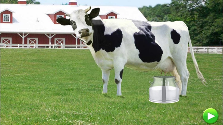 Make My Breakfast Food