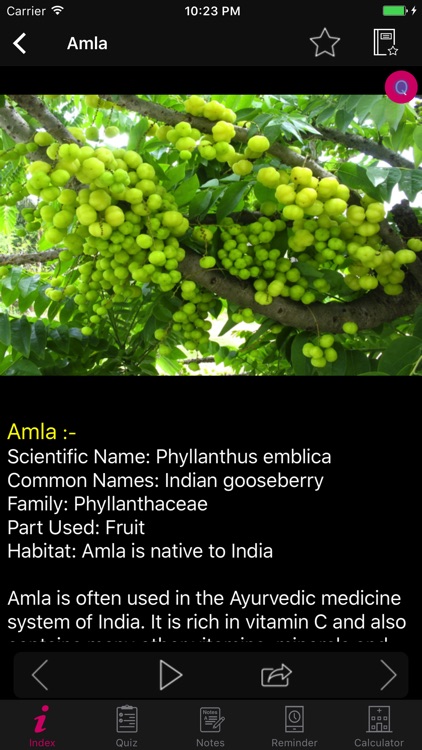 Natural Remedies Herbal screenshot-4