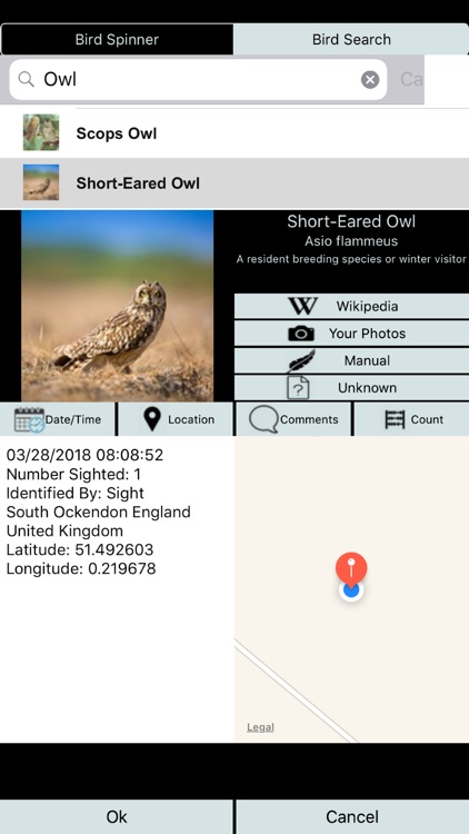 Big Year Birding GB