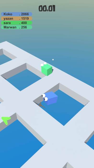 Go Flag.io screenshot 4