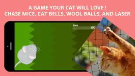 Game screenshot Best Game for Cats apk